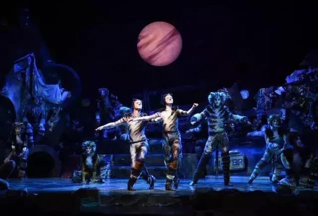 世界名著中的猫,盘点千奇百怪的猫