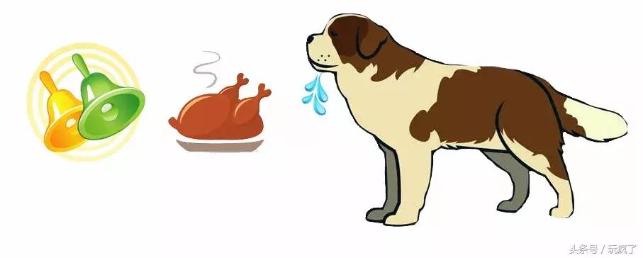 动物灵活训练,训练动物必杀技