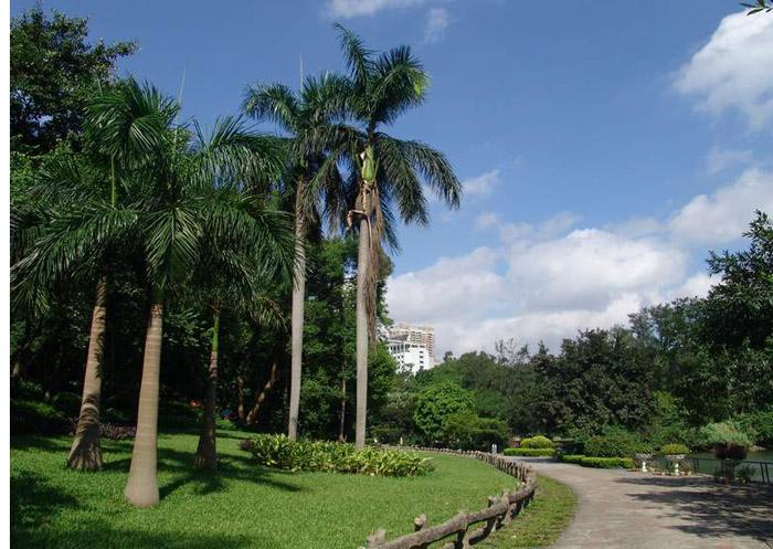 东莞香市动物园和广州动物园,长隆野生动物园和广州动物园区别