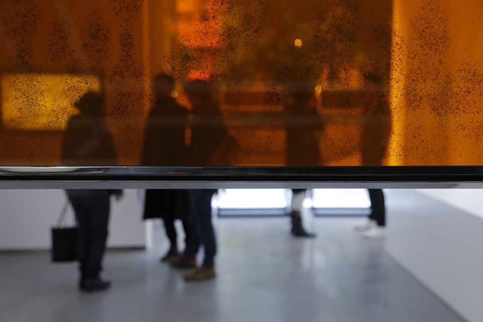 南京逸空间画廊设计师,南京逸空间画廊