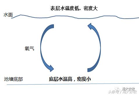 晚上螃蟹上岸怎么处理,螃蟹上岸的方法