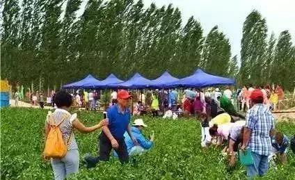 延安特色农业项目,陕西省延安今年农业有没有补贴