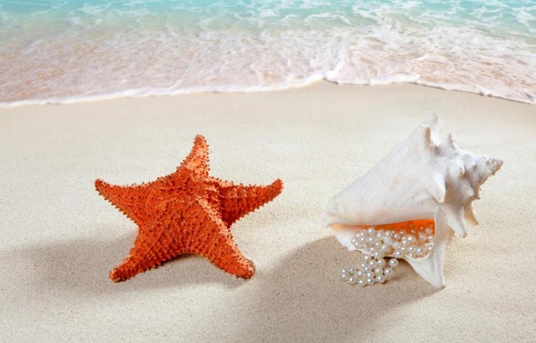 受到委屈励志美文,面对困难的美文