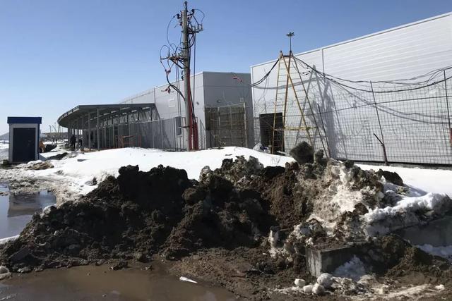 世界杯球场草皮怎么铺的,世界杯足球场草皮是真是假