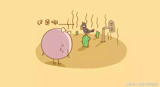 早孕为什么会有十漏九男的说法,十男有九漏是漏尿还是漏血