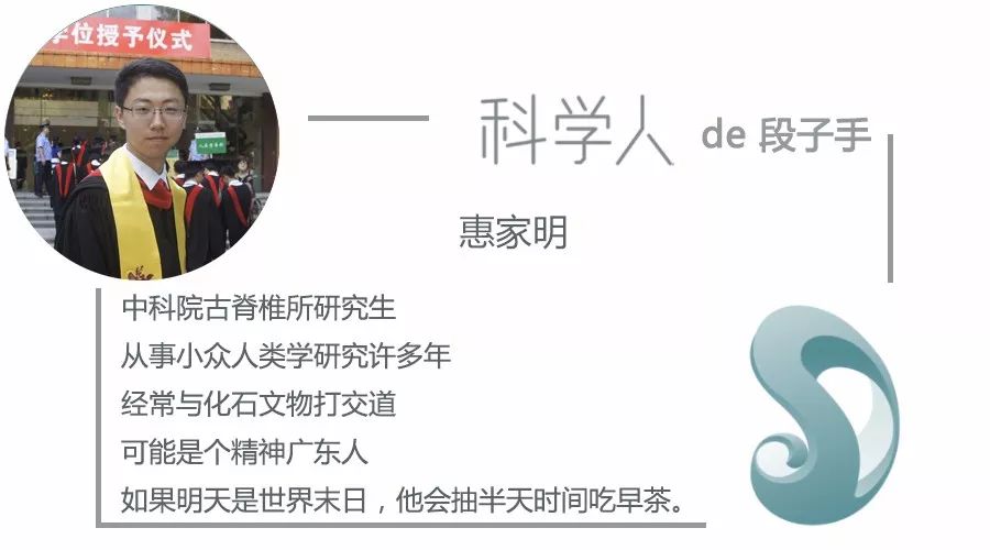 猴子爬树是为什么,猴子爬树为什么那么轻松