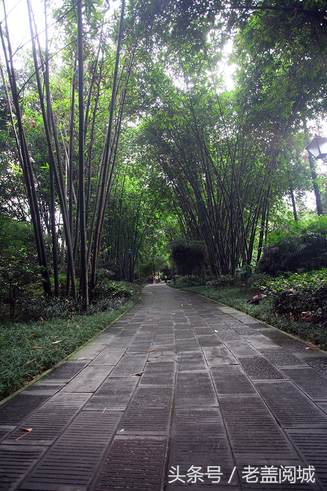 被成都遗忘的地方,成都九眼桥望江楼公园