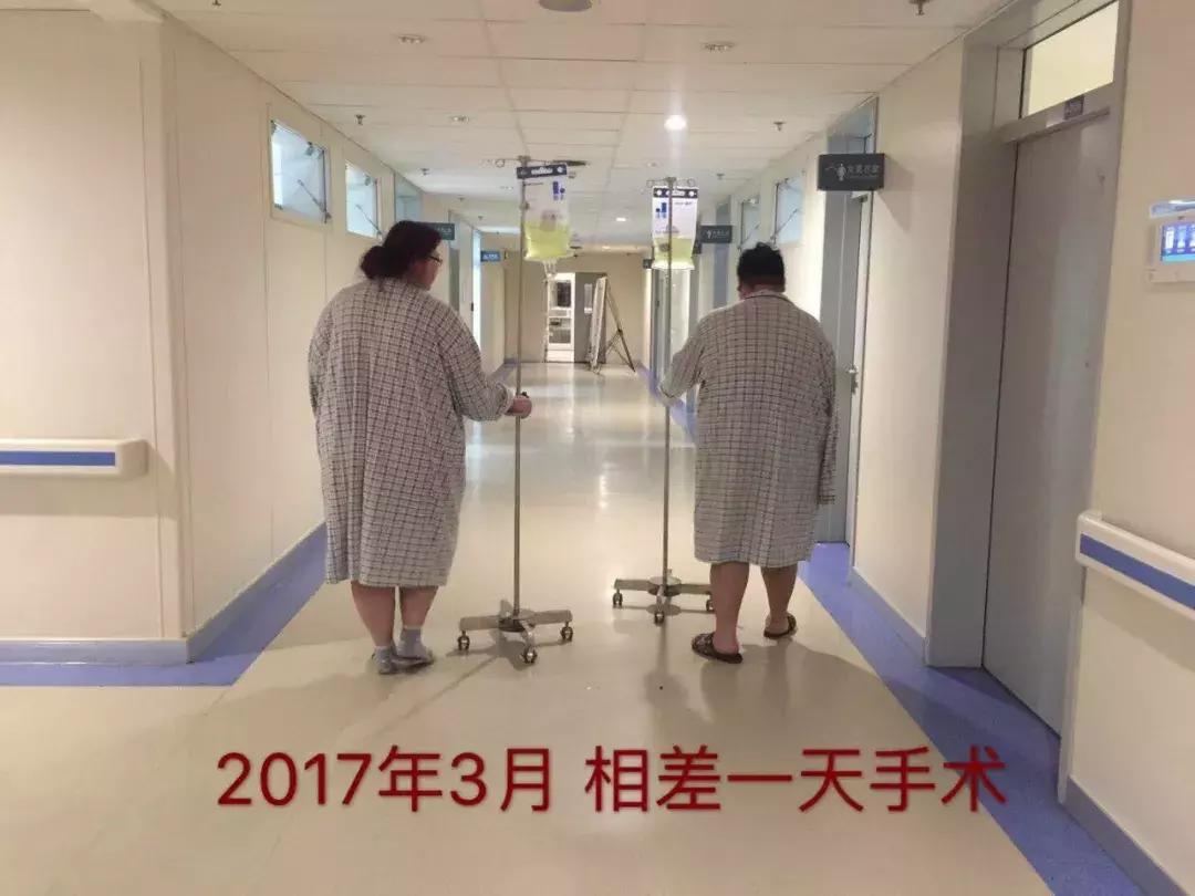 减肥知识科普热门,健康减肥的科普