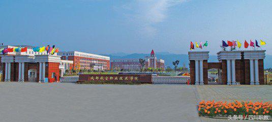 四川有哪些大学招收高水平运动队,四川省高水平运动队名单