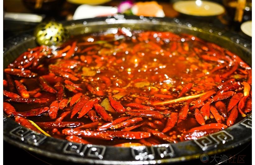 全国目前最火的火锅加盟店,市井火锅加盟十大品牌