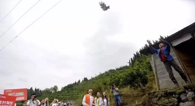 农村创业50个项目农民该怎样创业 (利润很吓人10个冷门创业项目农村)