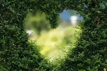 有一种深爱叫不再联系的歌曲,有一种深爱叫不联系却不打扰