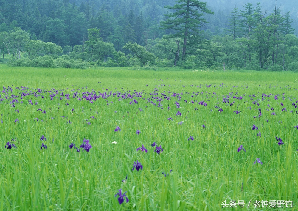 钓鱼有暗流走水怎样控制,急流水钓鱼怎么防止走漂