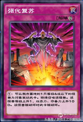 新版强势卡组,亚马逊卡组新卡