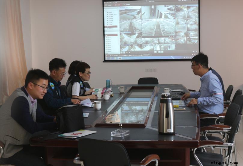 江苏高策农牧猪场母猪舍,寻找最美猪场