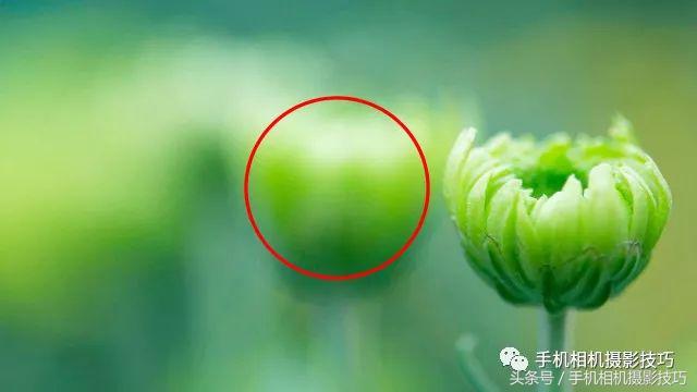 读者投稿点评，这些照片该如何改进？