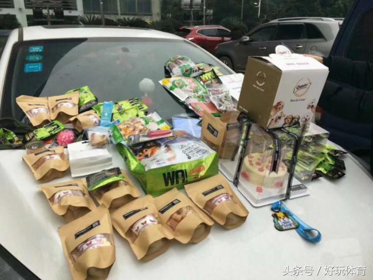 武汉海昌极地杯2018DOGRUN乐跑武汉站来啦！汉马月，一起跑起来！