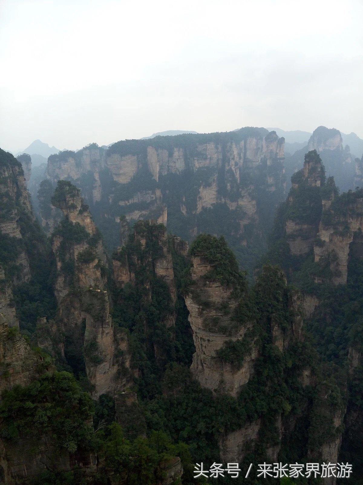 山东到张家界凤凰五日游攻略图文,佛山去张家界旅游攻略路线推荐图