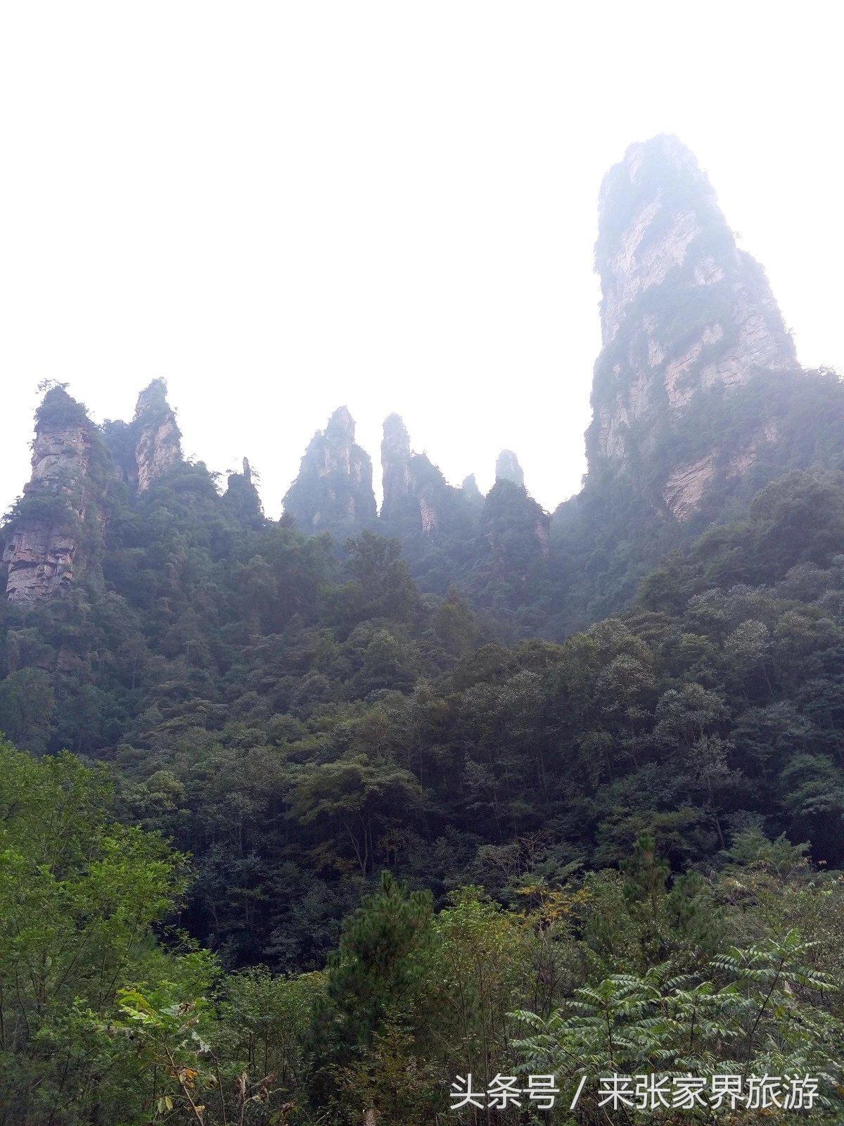 山东到张家界凤凰五日游攻略图文,佛山去张家界旅游攻略路线推荐图