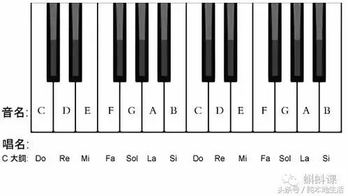 怎样学习识简谱基础入门,如何学乐谱弹钢琴