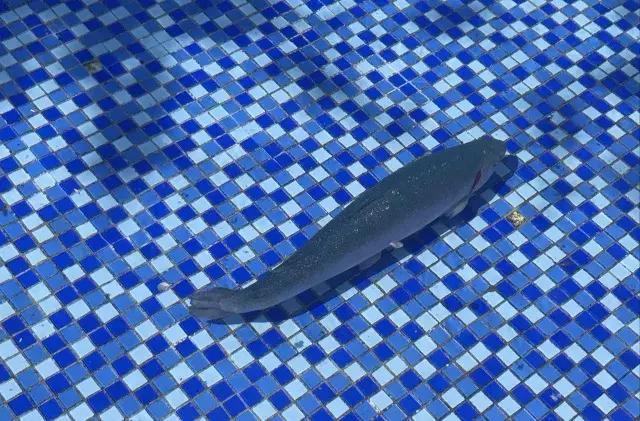 飞两千多公里,得到一座奇幻山林,一个温暖的家,一群有趣的人