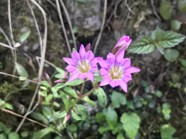 飞两千多公里,得到一座奇幻山林,一个温暖的家,一群有趣的人