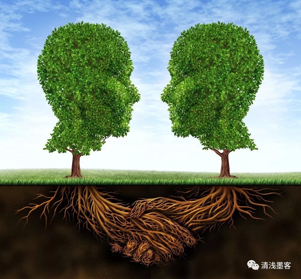 永远的巨石视频,永远吃不完的石头糖