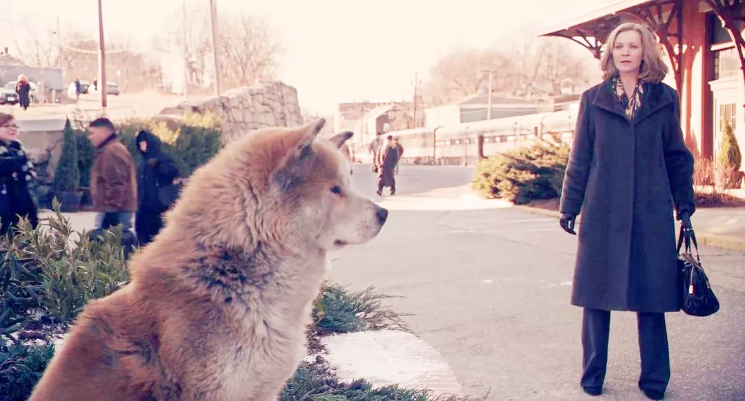 看完湿透你纸巾的8部电影，观看前提早准备好纸巾！