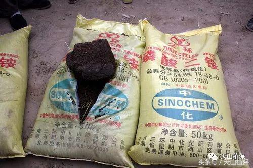 尿素钾肥价格最新行情,今年尿素二铵钾肥价格各多少