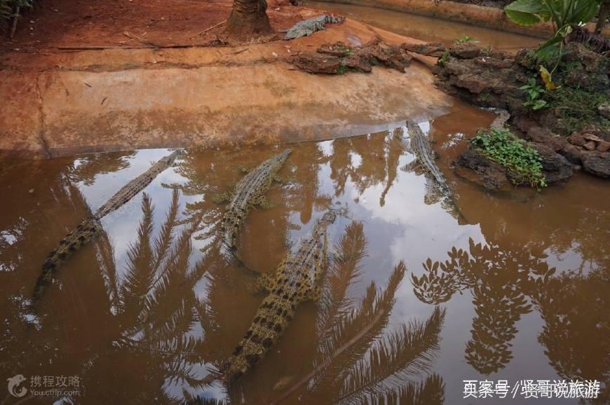 三亚海口旅游攻略必去景点,海口文昌旅游景点大全攻略