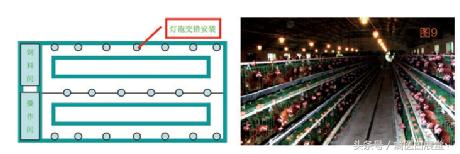四川鸡场鸡舍怎么搭建最好图片,鸡舍建造全过程详解
