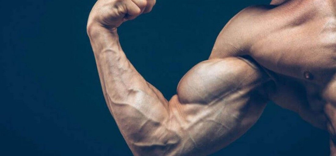 5个练得最好的二头肌,世界上最牛逼的肱二头肌