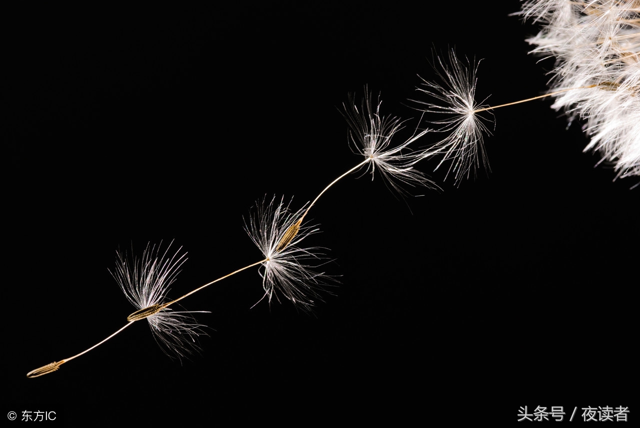 皮外伤的最好偏方,我以为时间是最好的偏方表情包