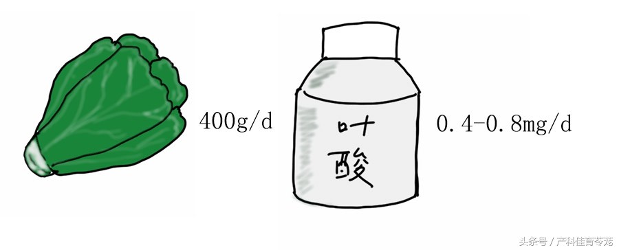 怀孕了吃什么不好,怀孕了吃什么不长胎
