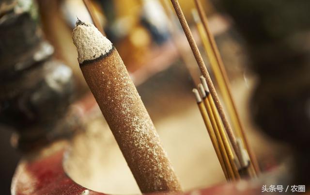 去乡下调研会遇到哪些问题,去农村旅游的注意事项