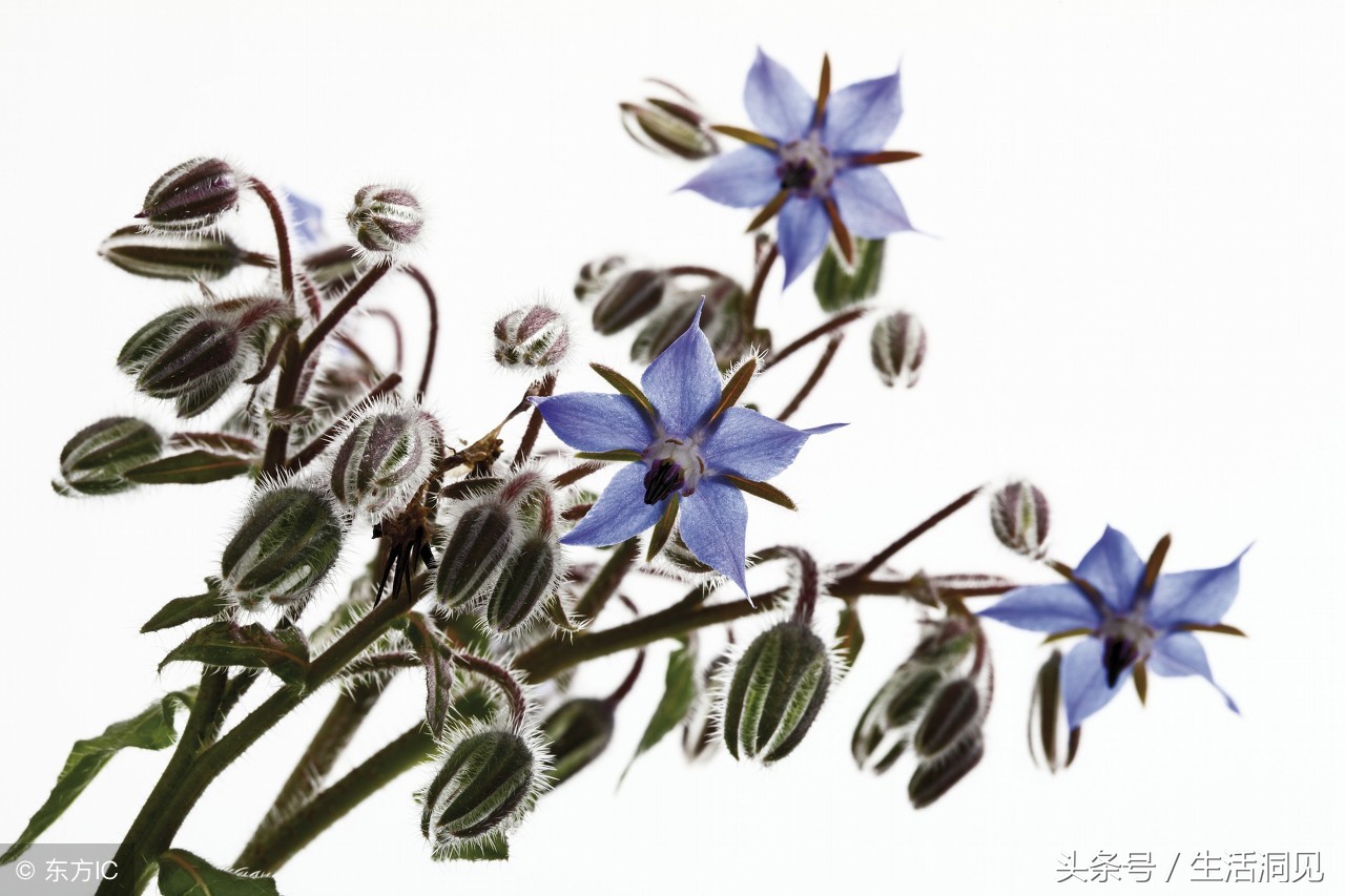 早上五点出生的人命运,五点生的男孩命运