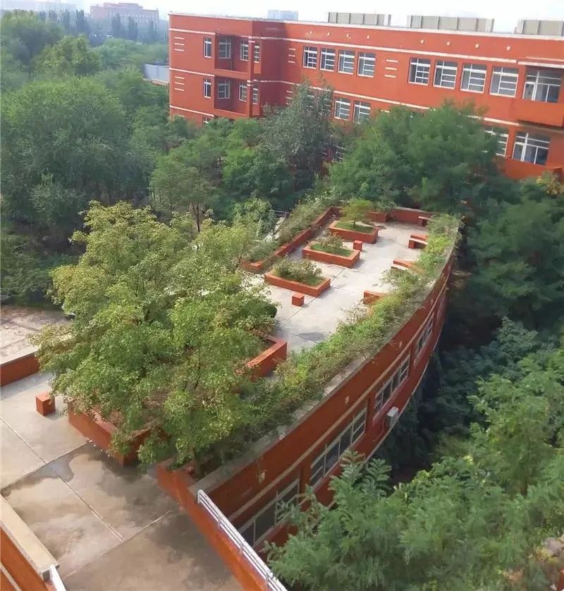 学子眼中的山科院系列篇（1）关于校园，他们这样说...