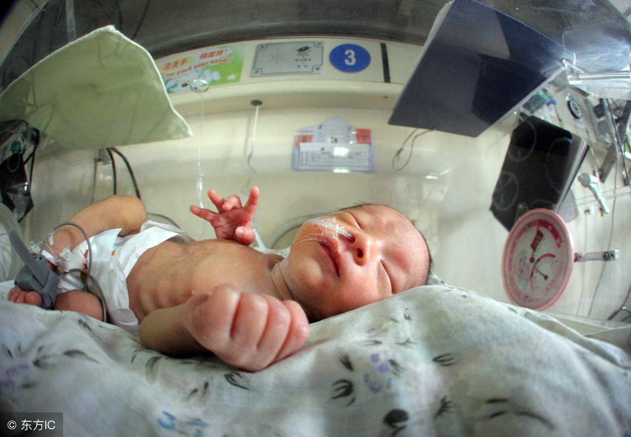 七个月早产儿打针费用,早产儿没钱治疗的存活率是多少