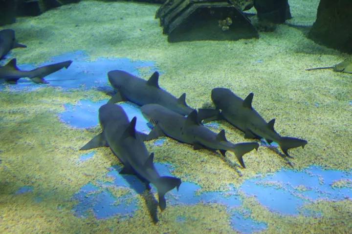 郑州韩式汗蒸馆胜地,郑州韩汤汇韩式汗蒸馆