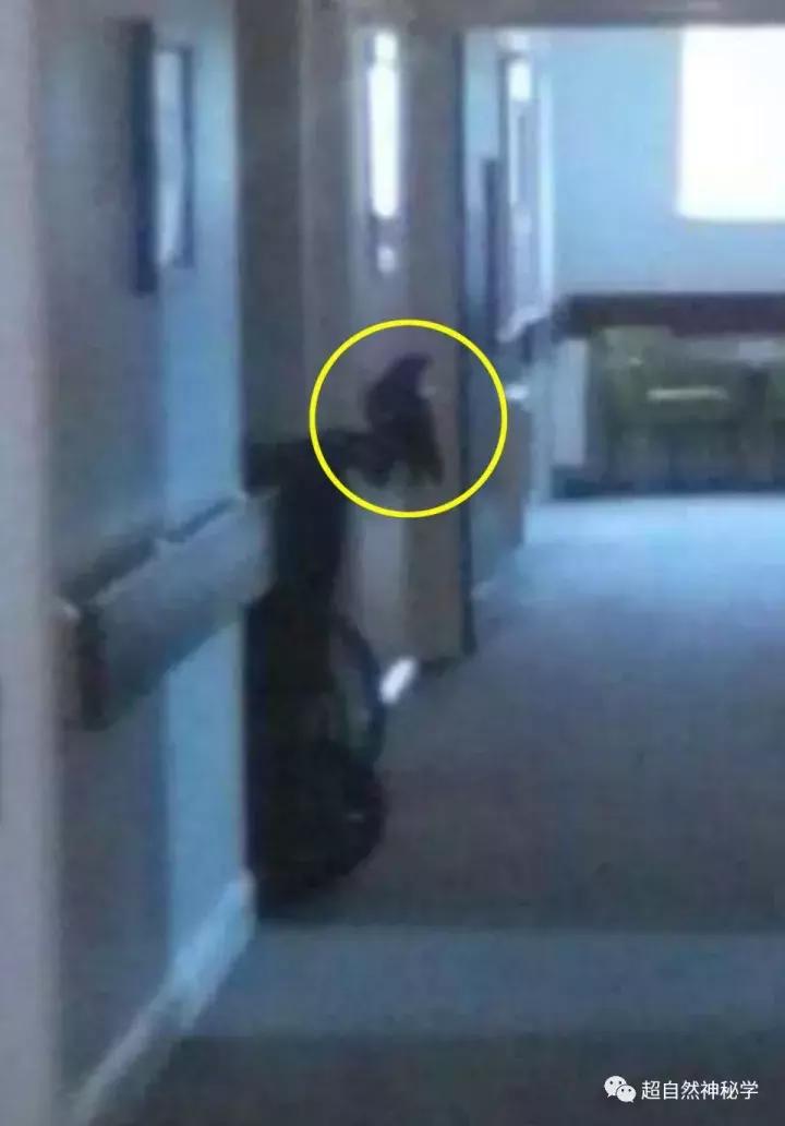 灵异事件30张恐怖照片,恐怖视频灵异事件合集