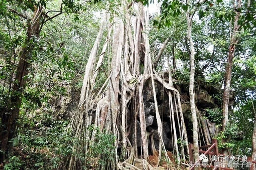 到版纳一定要体验一场泼水狂欢,云南景洪泼水节之旅