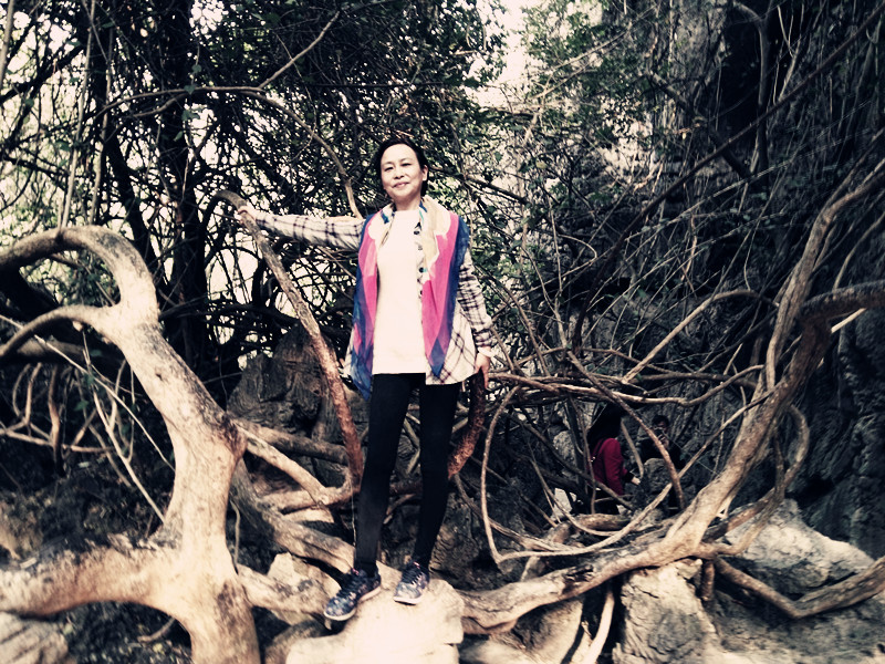 黄果树天星桥美景视频,黄果树天星桥陡坡塘景区介绍