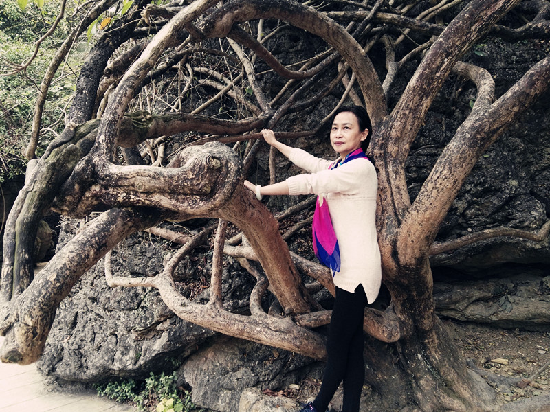 黄果树壮丽加天星桥精致繁复再加上陡坡塘的清雅成就完美布局