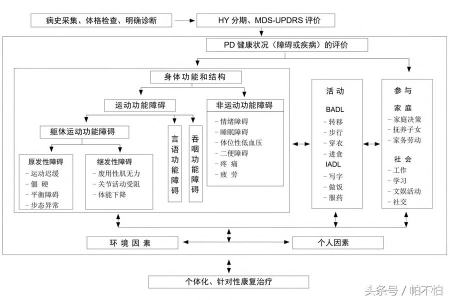 帕金森病治疗的最好方法有问必答,帕金森患者进行康复治疗的原则有
