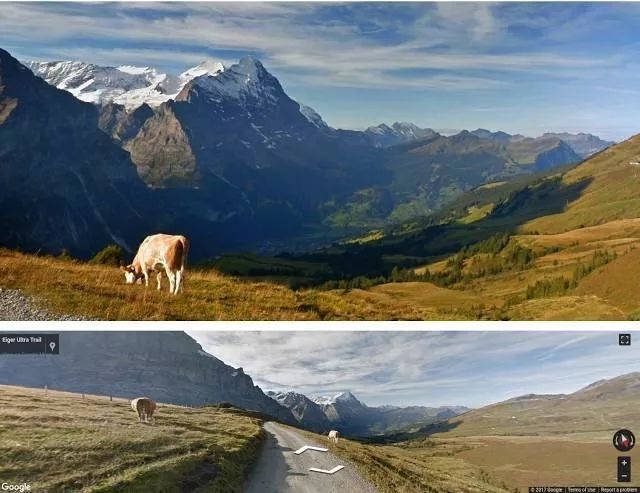 细思极恐仿生机器人,细思极恐亚马逊智能语音机器人