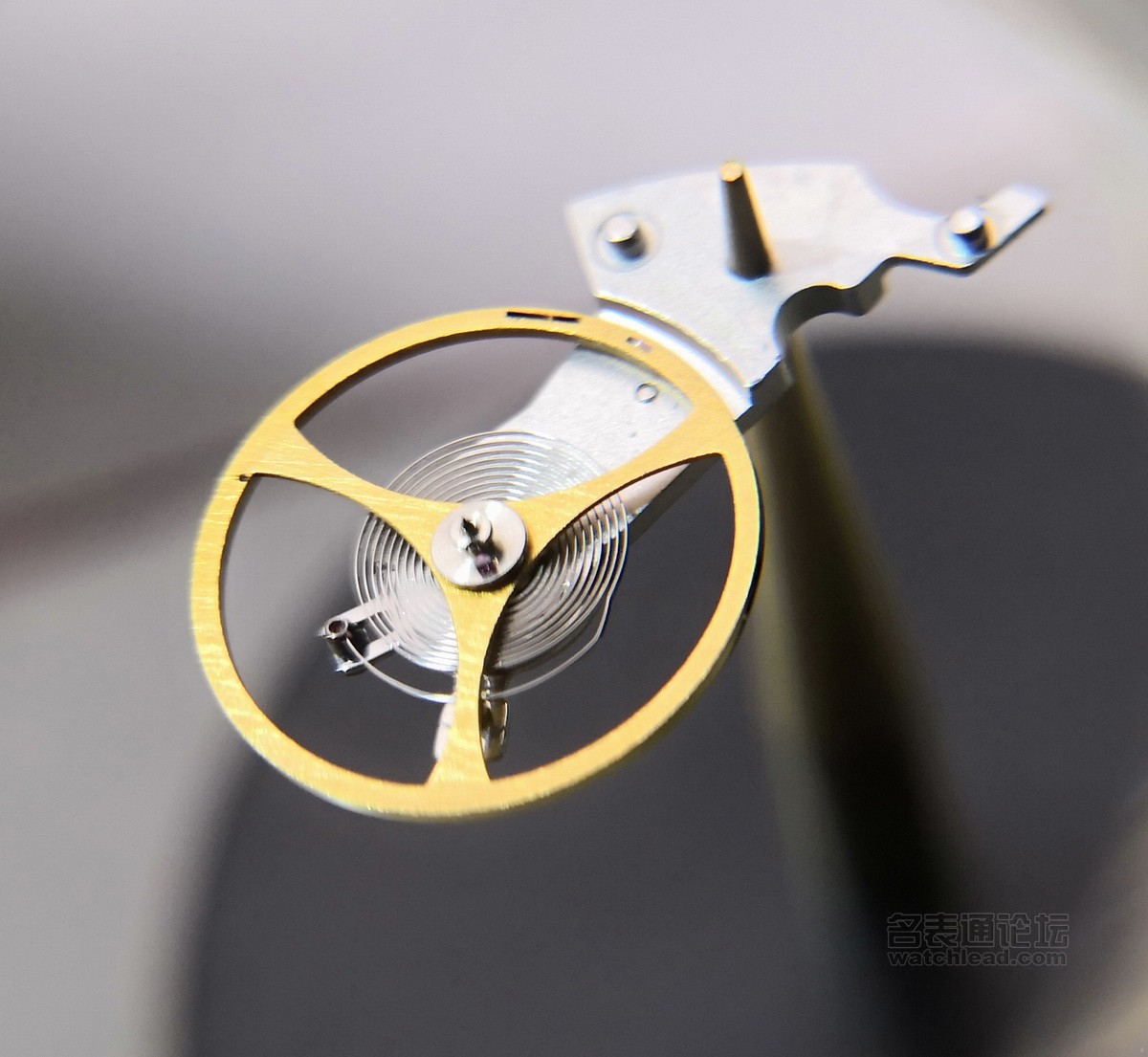 甯濊埖鐜嬪瓙绯诲垪鎷嗗嵏瑙嗛,甯濊埖鐜嬪瓙娓呮礂