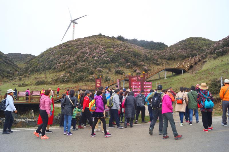 旅行社致谢信,感谢旅行社的感谢信怎么写