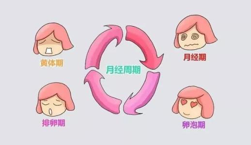 女性有这些感觉，十有八九是排卵期到了，想要宝宝的要留意