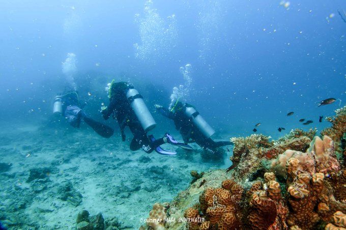 囧途：涛岛OW+AOW（高氧）考证之旅