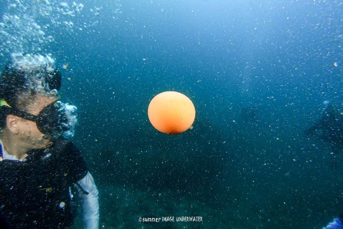 囧途：涛岛OW+AOW（高氧）考证之旅